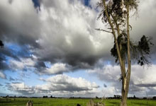 新疆队经过激烈角逐，最终击败对手